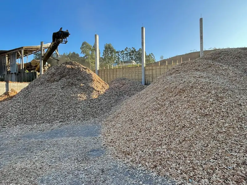 Imagem ilustrativa de Cavaco biomassa