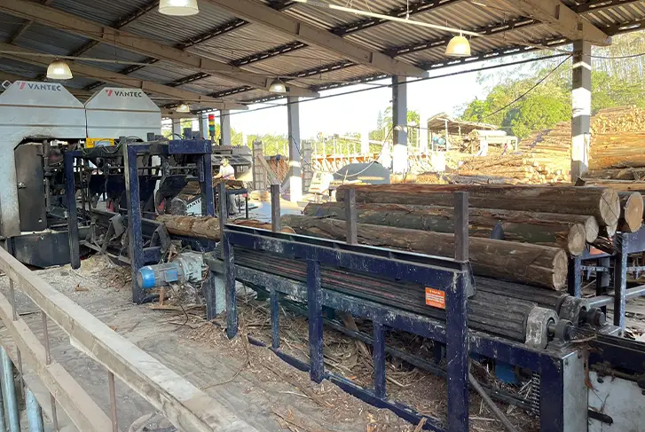 Máquina serrando toras de madeira em fábrica
